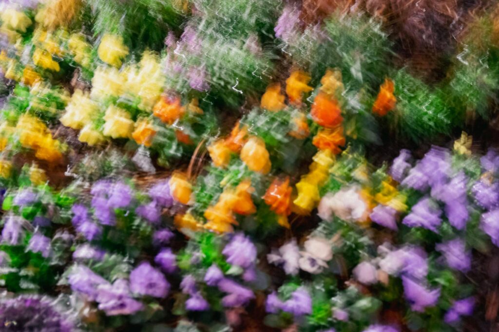 Dise&ntilde;o Beatstore: Fotos de stock gratuitas de abstracto, al aire libre, amarillo